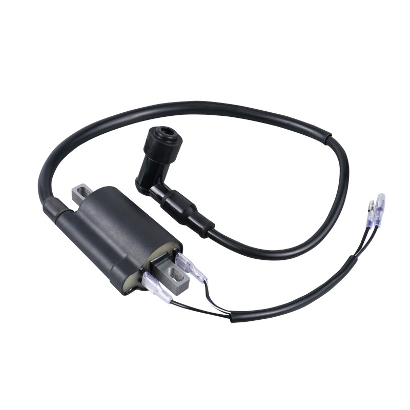 NICECNC 12V Ignition Coil for Vintage Motorcycles