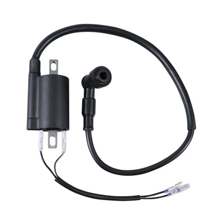 NICECNC 12V Ignition Coil for Vintage Motorcycles