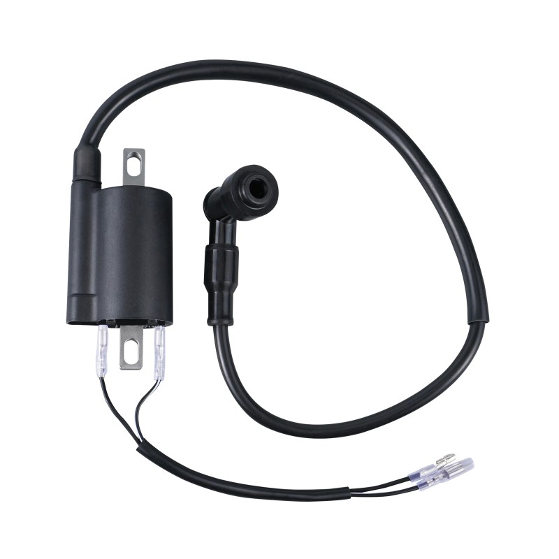 NICECNC 12V Ignition Coil for Vintage Motorcycles