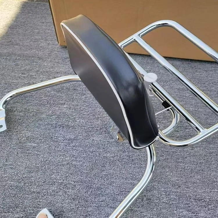 Vespa Primavera Sprint 150 Quick Release Backrest